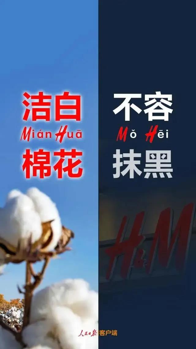 潔白棉花，不容抹黑