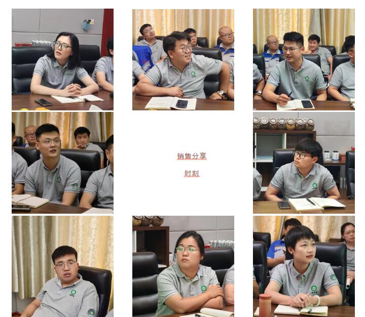 銷售精英們結合自己特點進行工作匯報。.jpg